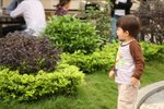 IMG_5978