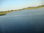 DSC07601