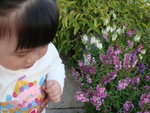 DSC07715