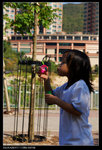 DSC02944(1)