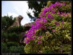 DSC05228