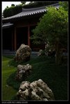 DSC05241