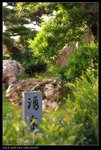 DSC05330