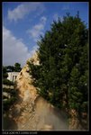 DSC05336
