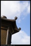 DSC05341