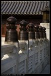 DSC05343