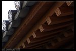 DSC05350
