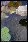 DSC05356