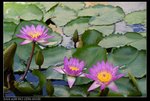 DSC05357