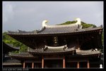 DSC05358