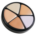 BRAND NEW! Lise Watier Portfolio Professional Correctors - 5 Shades  CDN $30