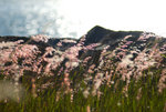 2778572904_3e908f264d_b