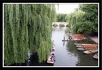 IMG_3142a