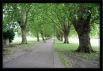 IMG_3157