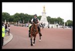 IMG_3179a