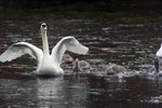 IMG_3420