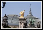 IMG_2965a