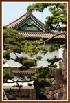 _MG_0788a