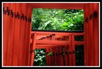 _MG_0545a