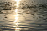 IMG_7696