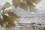 cover2