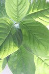 照片 056