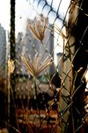 _MG_5433