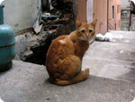 PICT0370