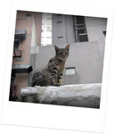 PICT0373