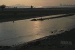 P1100306a