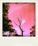 20080721114335410_-pola
