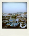 P1170466-pola