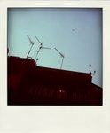 P1170471-pola