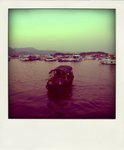 P1170480-pola