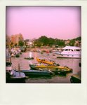 P1170483-pola