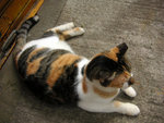 PICT0824