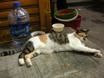 PICT0826