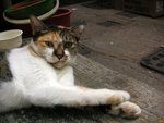 PICT0827