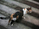 PICT0919