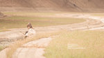 20101127-DSC00129