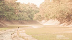 20101127-DSC00131
