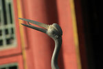 IMG_9918