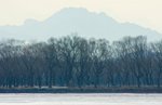 IMG_9946