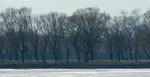 IMG_9957