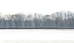 IMG_9969