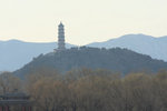 IMG_9976