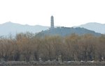 IMG_9987