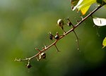 IMG_4920