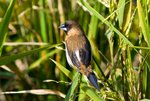 IMG_5881