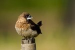 IMG_6143